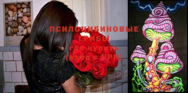 тгк Алексин